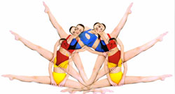 Perfomance Sportswear